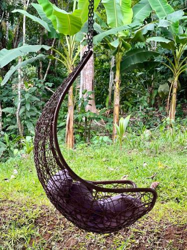 a black swinging hammock in a field of grass at Punta Leona, beach 5mn,gated parking, AC, TV, WiFi in Quebrada Ganado