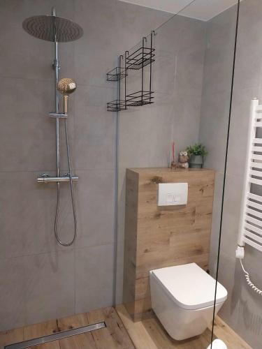 a bathroom with a toilet and a glass shower at Domki Na Brzyzku in Zakopane