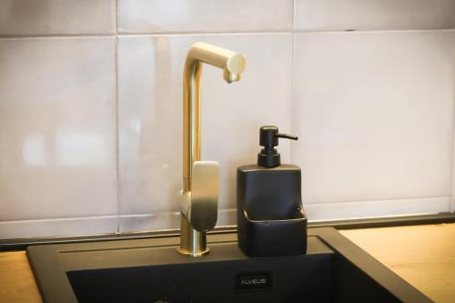a soap dispenser sitting on top of a sink at Apartman Aleksandra Vrnjacka Banja in Vrnjci