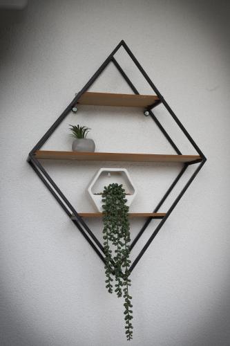 a shelf with a plant on a wall at Apartman Aleksandra Vrnjacka Banja in Vrnjci
