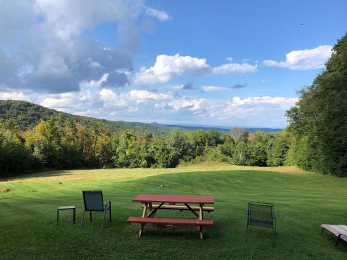 - une table de pique-nique et des chaises dans un champ dans l'établissement Private, Quiet Vermont Studio With Mountain Views, à Guilford