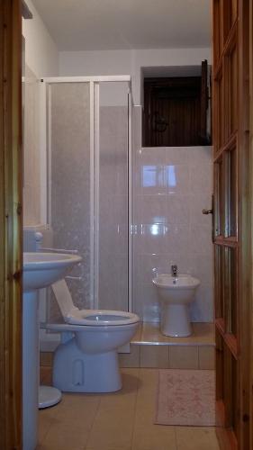 ein Bad mit einem WC, einem Waschbecken und einer Dusche in der Unterkunft La Maison De Chantal in Fenis