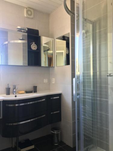 une salle de bain avec un lavabo et une douche dans l'établissement Les Anthemis- Bord de mer, à Saint-Raphaël