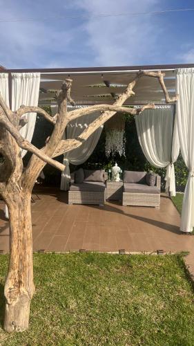 acovered patio with white curtains and a tree at La Casa del Vagabondo in Belvedere