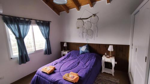 ビジャ・ヘネラル・ベルグラーノにあるViento Surの紫色のベッドと窓のある寝室