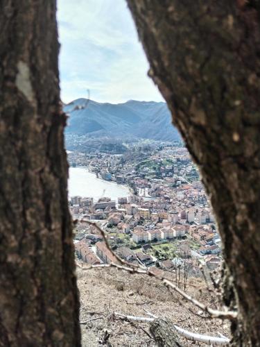 a view of a city from a hole in a tree at un balcone sul lago in Omegna