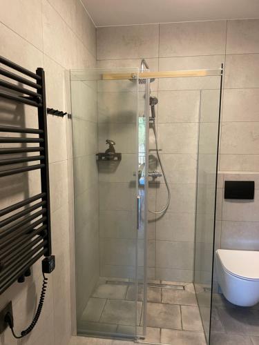 a glass shower in a bathroom with a toilet at LoveLas - Apartamenty in Smerek