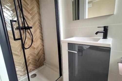 une salle de bain avec une douche, un lavabo et un miroir dans l'établissement Charmant appartement T2, à Toulon