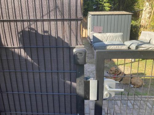 a dog laying on the ground in a cage at Chalet Paloma in Harderwijk