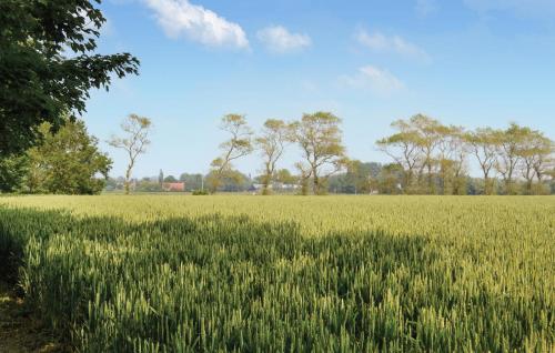 un champ d'herbe verte avec des arbres en arrière-plan dans l'établissement 3 Bedroom Amazing Home In Hames Boucres, à Hames-Boucres