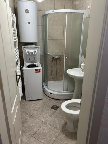 Koupelna v ubytování Stefi Apartment
