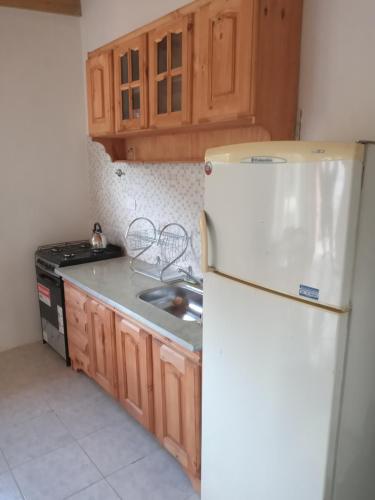 ネコチェアにあるDepartamento Necochea para 4の白い冷蔵庫とシンクのあるキッチン