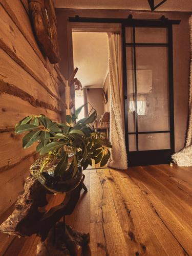 a potted plant sitting on the floor in a room at La Cabane de Marie in La Bollène-Vésubie