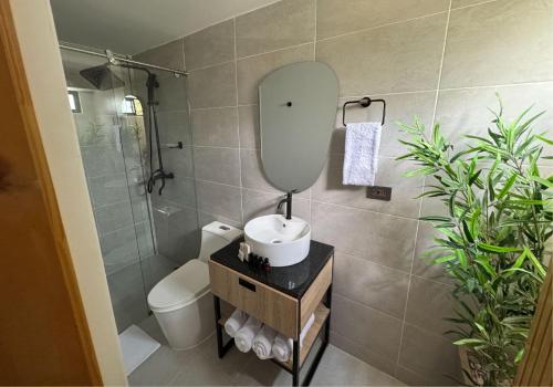 a bathroom with a sink and a toilet and a mirror at Hotel San Gil House in San Gil