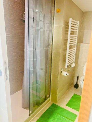 La salle de bains est pourvue d'une douche et d'un sol vert. dans l'établissement Alexandre Mari old town few meters to the beach, à Nice