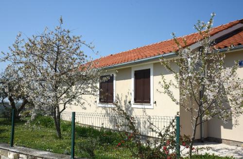 Villa Sofia