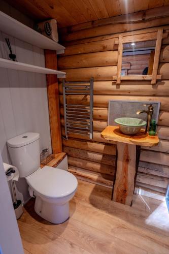 a bathroom with a toilet and a sink at The Happy Cabin Woodland Hideaway by the River in Banavie