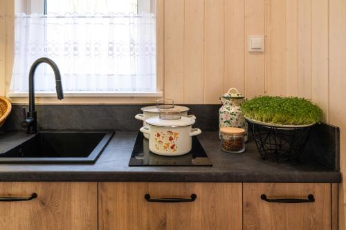 a kitchen counter with a sink and a pot on a stove at Apartament nad jeziorem Strykowskim in Sapowice