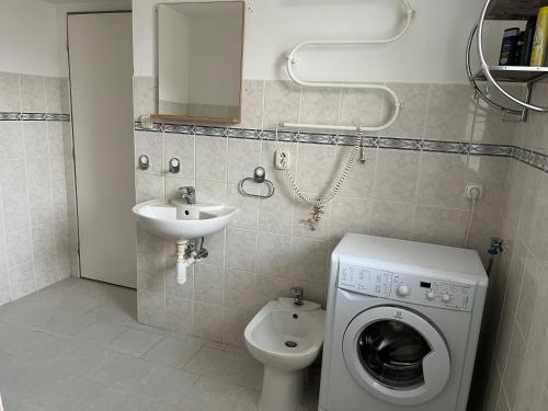 a bathroom with a washing machine and a sink at Chalupa u Čížků in Kanice