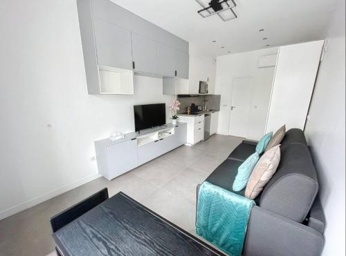 un salon avec un canapé et une télévision dans l'établissement Studio neuf cosy entre Paris et Disneyland, à Bry-sur-Marne
