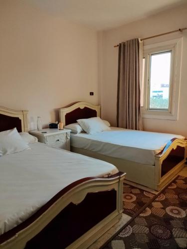 Cozy GUC View Female-Home - near to Airport