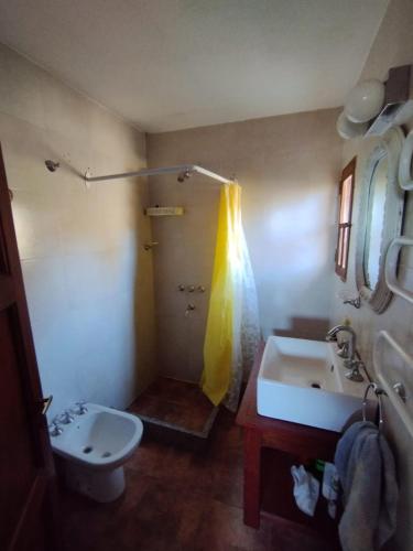 a bathroom with a sink and a toilet and a shower at El churqui in San Esteban
