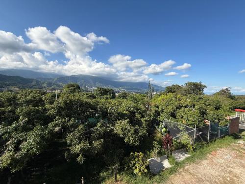 a person standing on a hill with trees at Apartamento campestre 202 in Ibagué