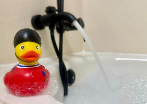 a rubber duck is sitting in a bath tub at Moderno apartamento en el corazón de Zaragoza con posibilidad de 2 garajes in Zaragoza