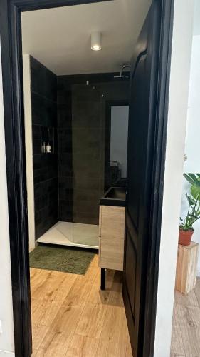 ein Badezimmer mit Waschbecken und Spiegel in der Unterkunft Studio cosy in Armentières