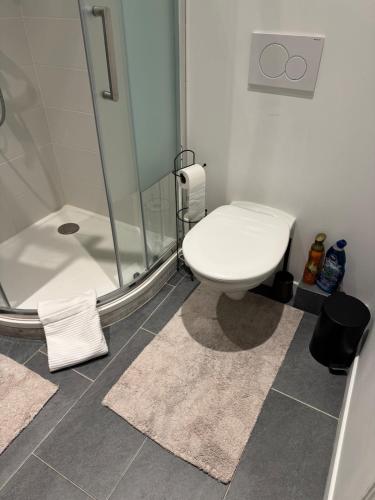 une salle de bain avec toilettes et douche en verre dans l'établissement Studio chic Saint Germain des Pres, à Paris