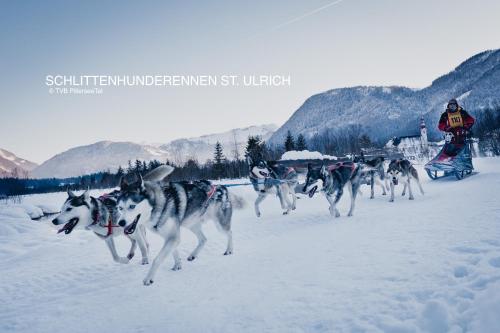 a group of horses pulling a sled in the snow at Ferienwohnung Alpenglück in Sankt Jakob in Haus
