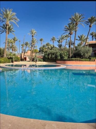 a large swimming pool with palm trees in the background at Palm spot in Marrakech
