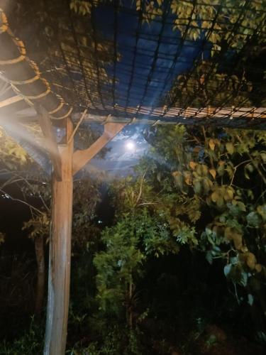 Galería fotográfica de Glamping el nido en Curití