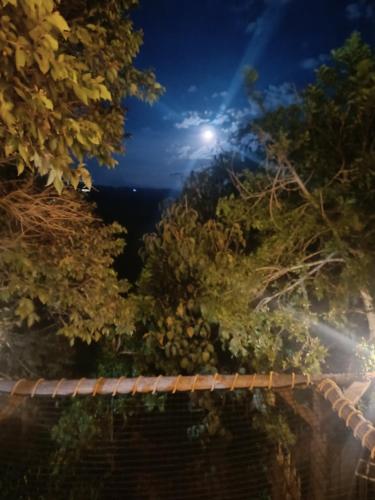 Galería fotográfica de Glamping el nido en Curití