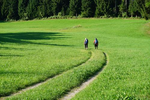 two people on horses walking in a field at Hotel-Restaurant Alpha in Friedrichshafen