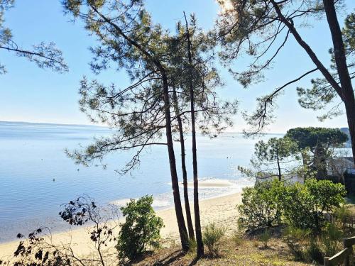 Photo de la galerie de l'établissement Villa plain-pied avec piscine et jardin arboré à Lège-Cap-Ferret - FR-1-736-59, à Lège-Cap-Ferret