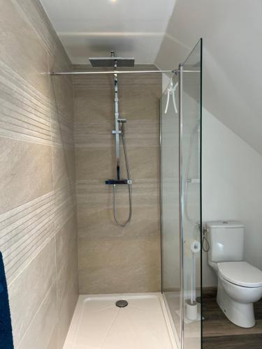 a bathroom with a shower with a toilet at Au Numéro 7 in Pontailler-sur-Saône