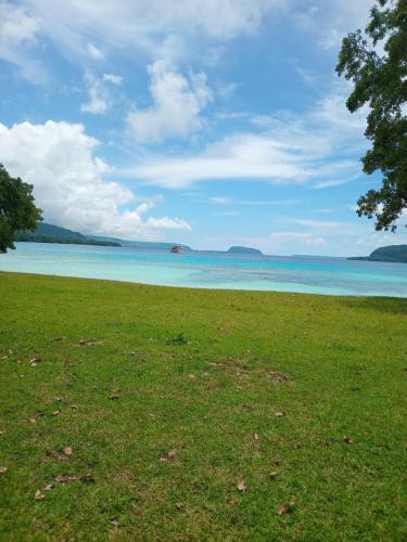 a green field with the ocean in the background at Lonnoc ocean view beach bungalows in Hog Harbour