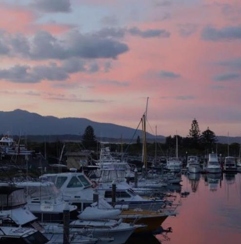 a group of boats docked in a marina at sunset at Cabin Bellbird in Bermagui