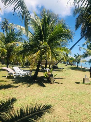 a palm tree and lounge chairs in a park at Koh Yao Yai Sea Breeze House เกาะยาวใหญ่ซีบรีซเฮ้าส์ in Ko Yao Yai