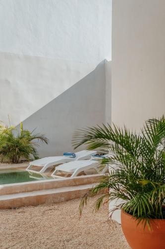 a swimming pool with plants next to a building at Casa Mara 53 Luxury House in downtown Mérida in Mérida