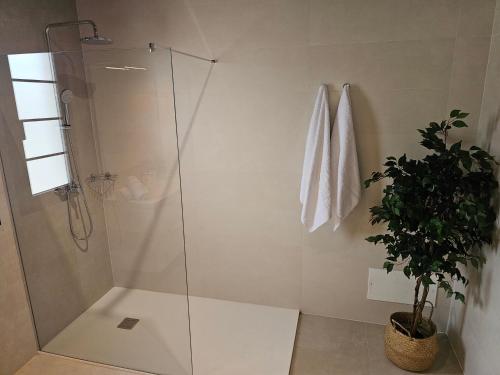 a shower with a glass door next to a potted plant at Casona IROKO in La Costa