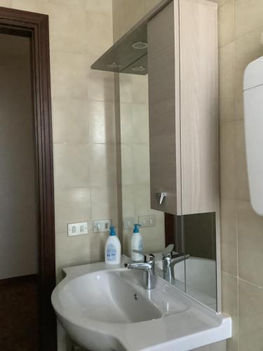 a bathroom with a white sink and a mirror at Appartamento Dannunzio in Castelnuovo del Garda