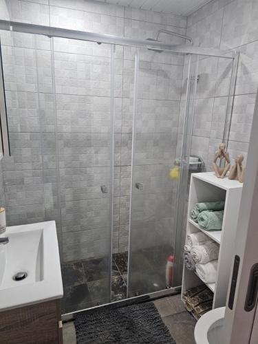 a shower with a glass door in a bathroom at Gratitude Apartment in Funchal