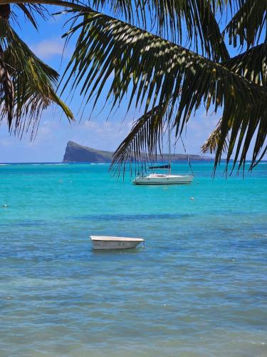 a boat in the water with a palm tree at Play - Swim - Dive - Relax - Seaside Recharge in Cap Malheureux
