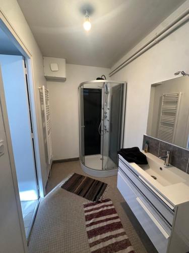 une salle de bain avec une douche, un lavabo et un miroir dans l'établissement Maison piscine Redon, à Redon