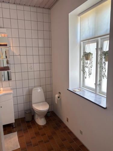 a bathroom with a toilet and a window at Djursland Lystrup Strand Ferieboliger in Allingåbro