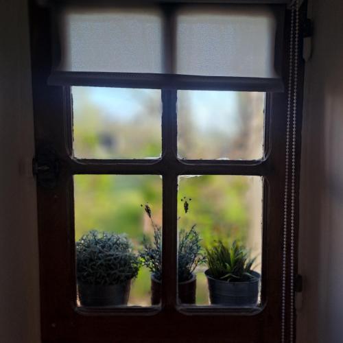 a window with potted plants sitting on it at Gîte Coume a Case, Pyrénées Atlantiques in Lys