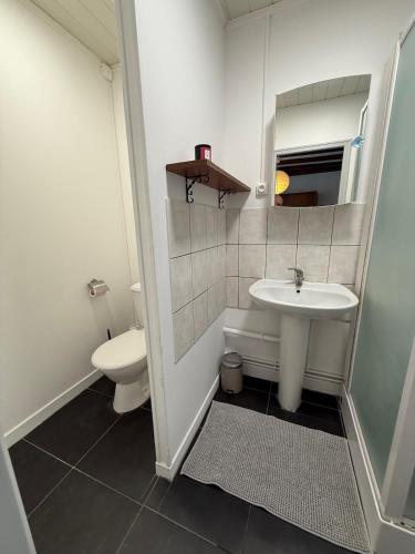 une salle de bain avec un lavabo et des toilettes dans l'établissement La Parenthèse du Pailly Maison entière dans la campagne haute-marnaise, à Chalindrey