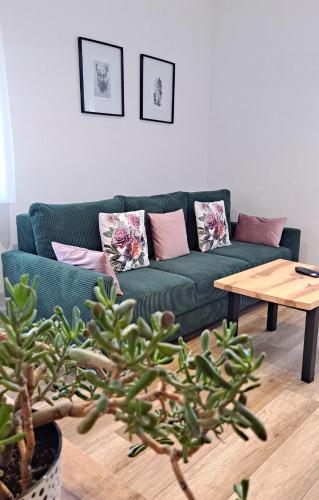 Apartament dzika róża